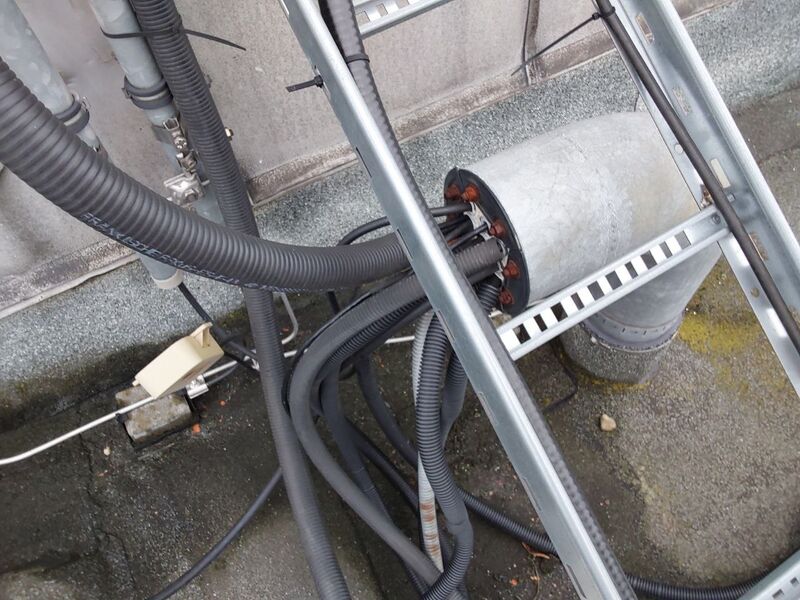 Datei:Photo 19 2026-02-15 16-25-01.jpg